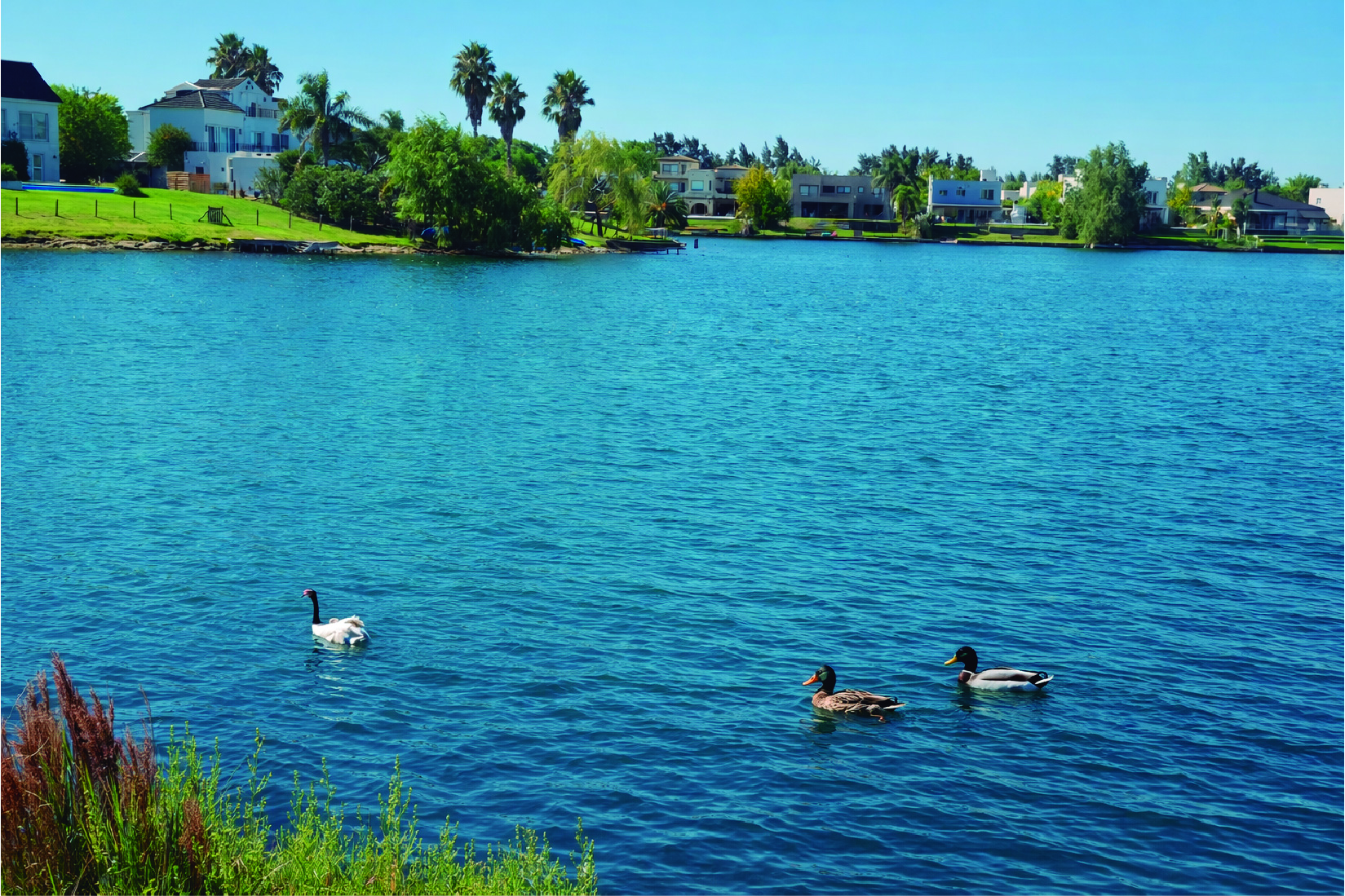 Vista laguna Santa Clara